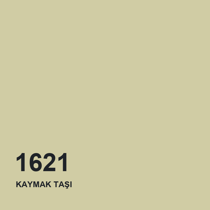 DYO 1621 KAYMAK TAŞI