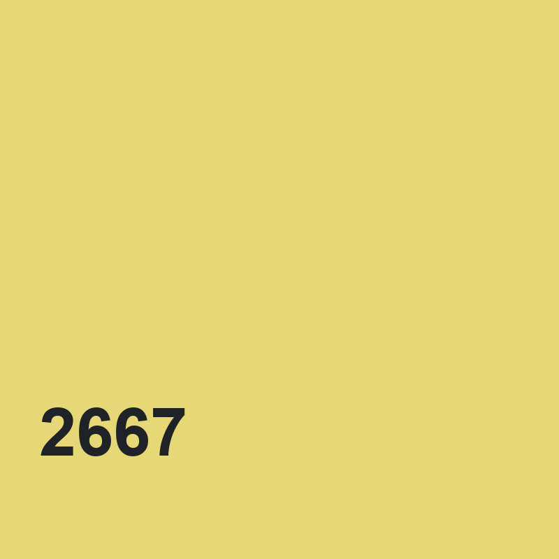 DYO 2667