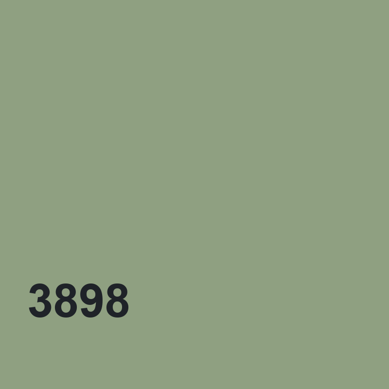 DYO 3898