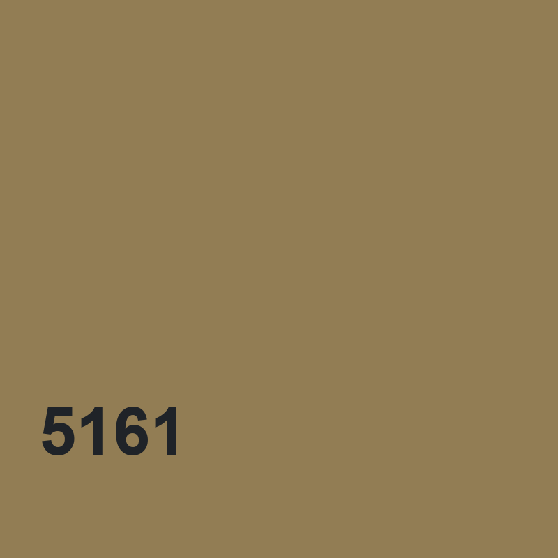 DYO 5161