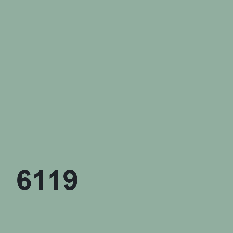 DYO 6119
