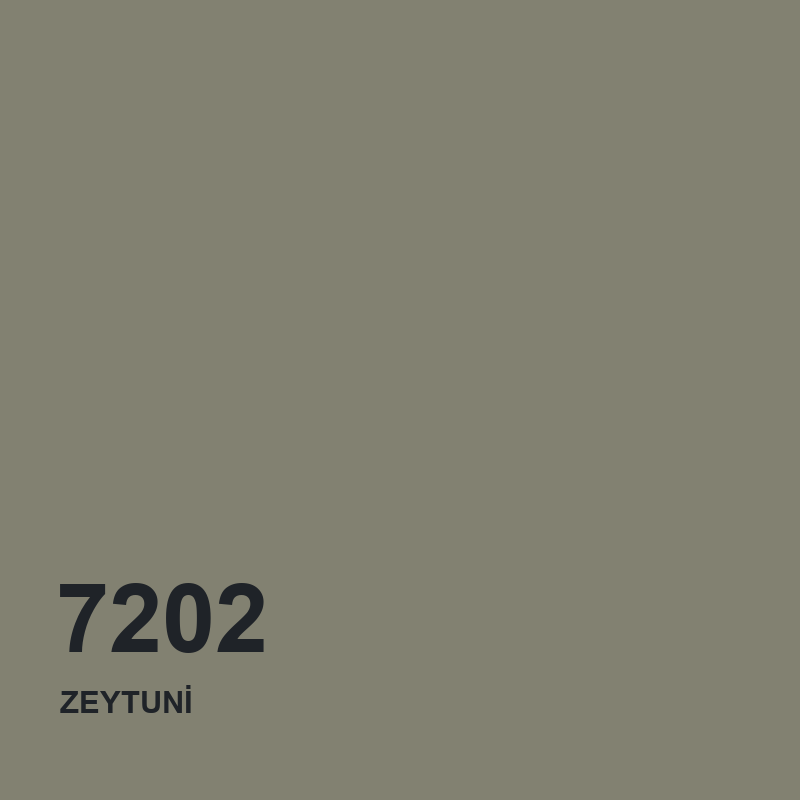 DYO 7202 ZEYTUNİ